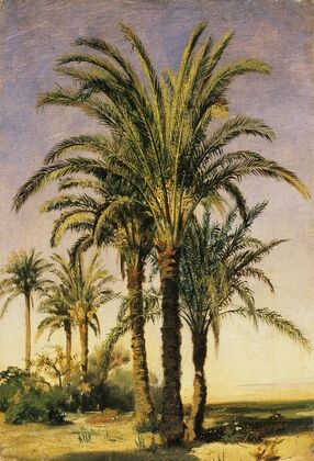 Palm Trees