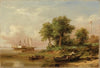 Palmettos at Port Royal