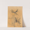 Palms by Jindrich Styrsky
