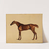 Pangloss (1762) by George Stubbs