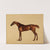 Pangloss (1762) by George Stubbs