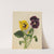 Pansies 2 (1875) by Mary Vaux Walcott