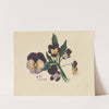 Pansies (1875) by Mary Vaux Walcott