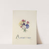 Pansies, pinks and daffodils by Jane Elizabeth Giraud