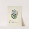 Pansies, violets, asphodel and hyacinth by Jane Elizabeth Giraud