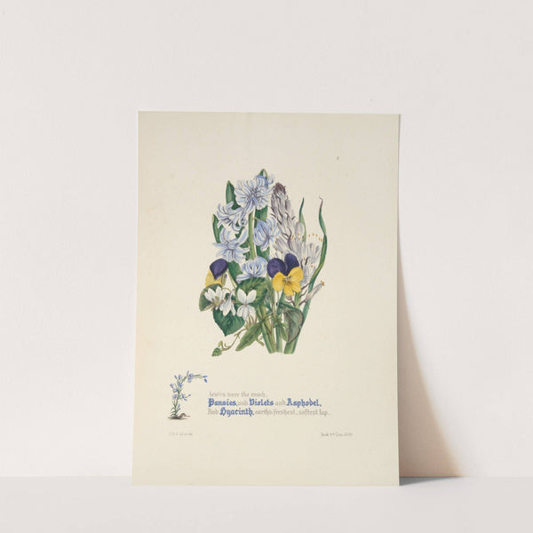 Pansies, violets, asphodel and hyacinth by Jane Elizabeth Giraud