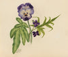 Plant Study (1939)