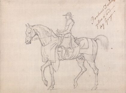‘Panton’s Doctor’; With Jockey Up, Walking to Left