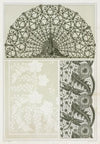 Paon, grille fer forgé. Cigales et groseiller, linge damassé. Libellules et pissenlit, dentelle.