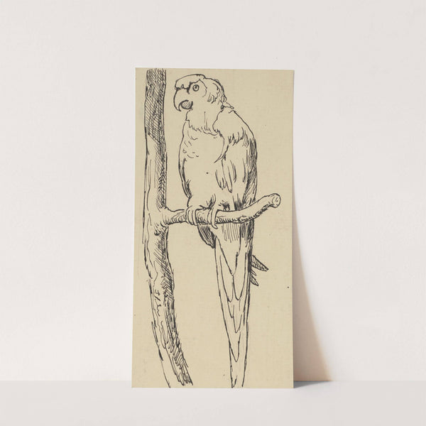 Papagei (ca 1905) by Hans Thoma