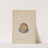 Paper Weight (c. 1936) by Gertrude Lemberg