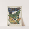 Papillons Pl.06 (1920) by Emile-Allain Séguy