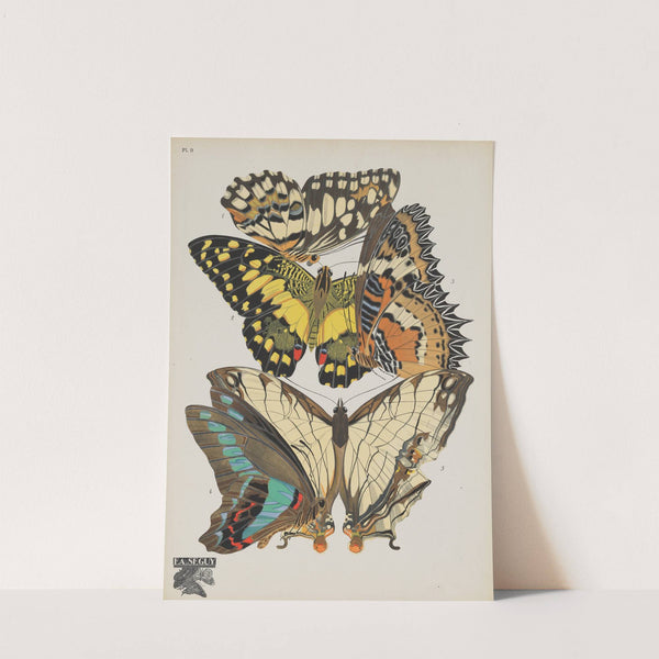 Papillons Pl.09 (1920) by Emile-Allain Séguy