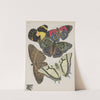Papillons Pl.12 (1920) by Emile-Allain Séguy