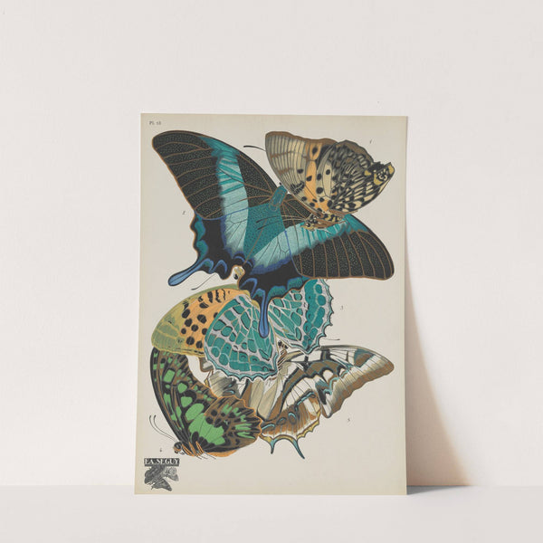 Papillons Pl.13 (1920) by Emile-Allain Séguy
