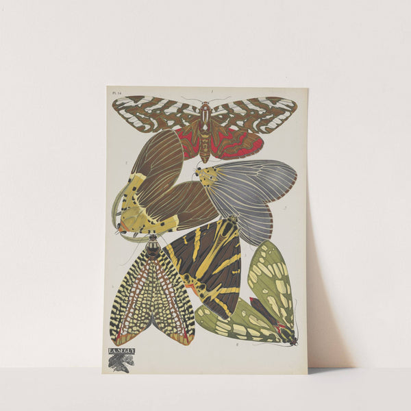 Papillons Pl.14 (1920) by Emile-Allain Séguy