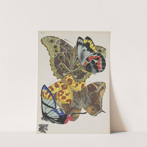 Papillons Pl.15 (1920) by Emile-Allain Séguy