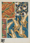 Papillons Pl.19