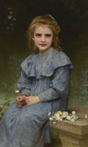 Pâquerettes 