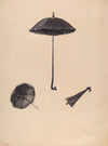 Parasol
