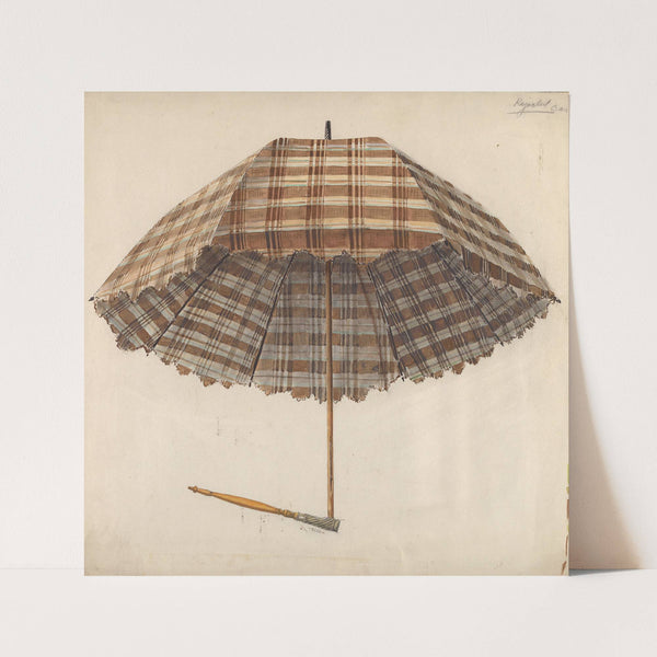 Parasol by Douglas Cox