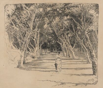 Park in Barbados (1882-1886)