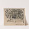Park in Barbados (1882-1886) by Milton J. Burns