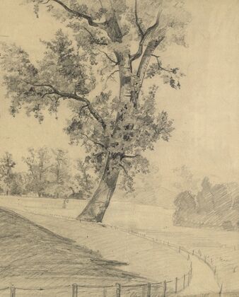 Parklandschaft (1875)