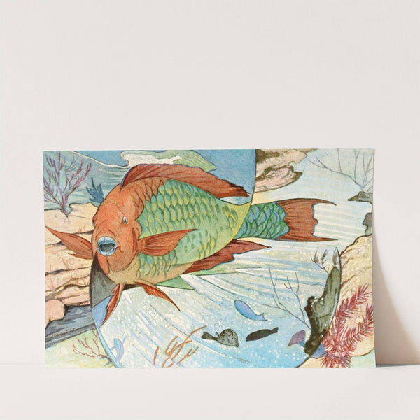 Parrot fish by Stephen Haweis