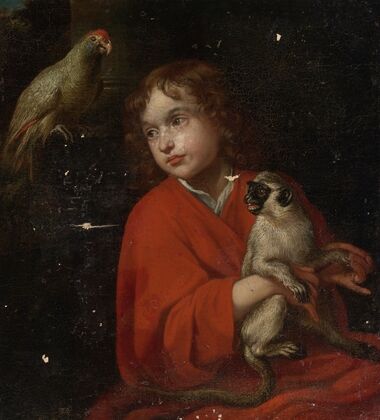 Parrot Watching A Boy Holding A Monkey