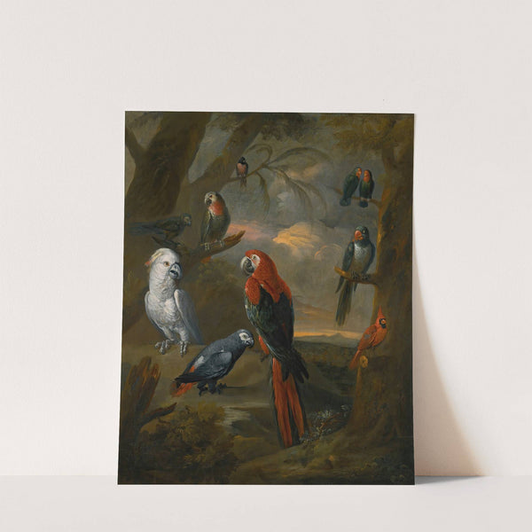 Parrots In An Extensive Woodland Landscape by Tobias Stranover