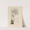 Parsee sitting in his palm tree by Rudyard Kipling