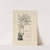 Parsee sitting in his palm tree by Rudyard Kipling