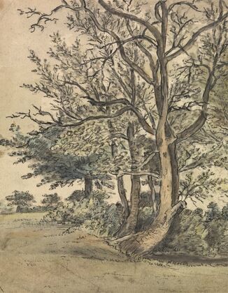 Part of Regent’s Park