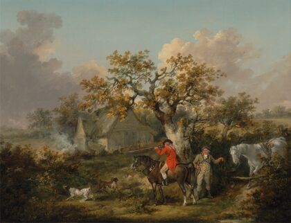 Partridge Shooting