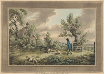 Partridge Shooting