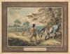 Partridge Shooting