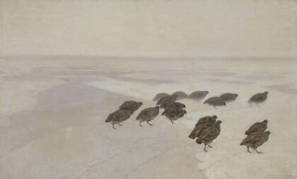 Partridges (1891)