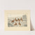 Partridges in a field (1820 - 1830) by Henry Thomas Alken