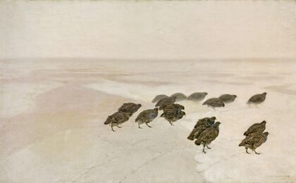 Partridges