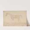Parts of the Properly Proportioned Horse by Sawrey Gilpin