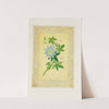 Passion flower (1869) by John Henry Ingram