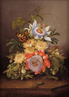Passionflowers
