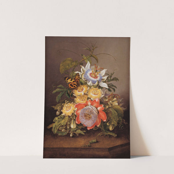 Passionflowers by Ferdinand Bauer