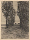 Pasture landscape with poplars (1896)