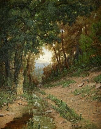 Path in the White Mountains