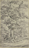 Path next to oak trees