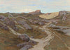 Path through a Rocky Landscape