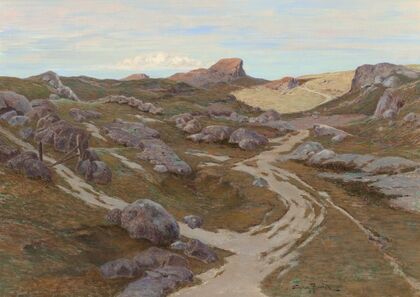 Path through a Rocky Landscape