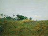 Path Through The Grass
